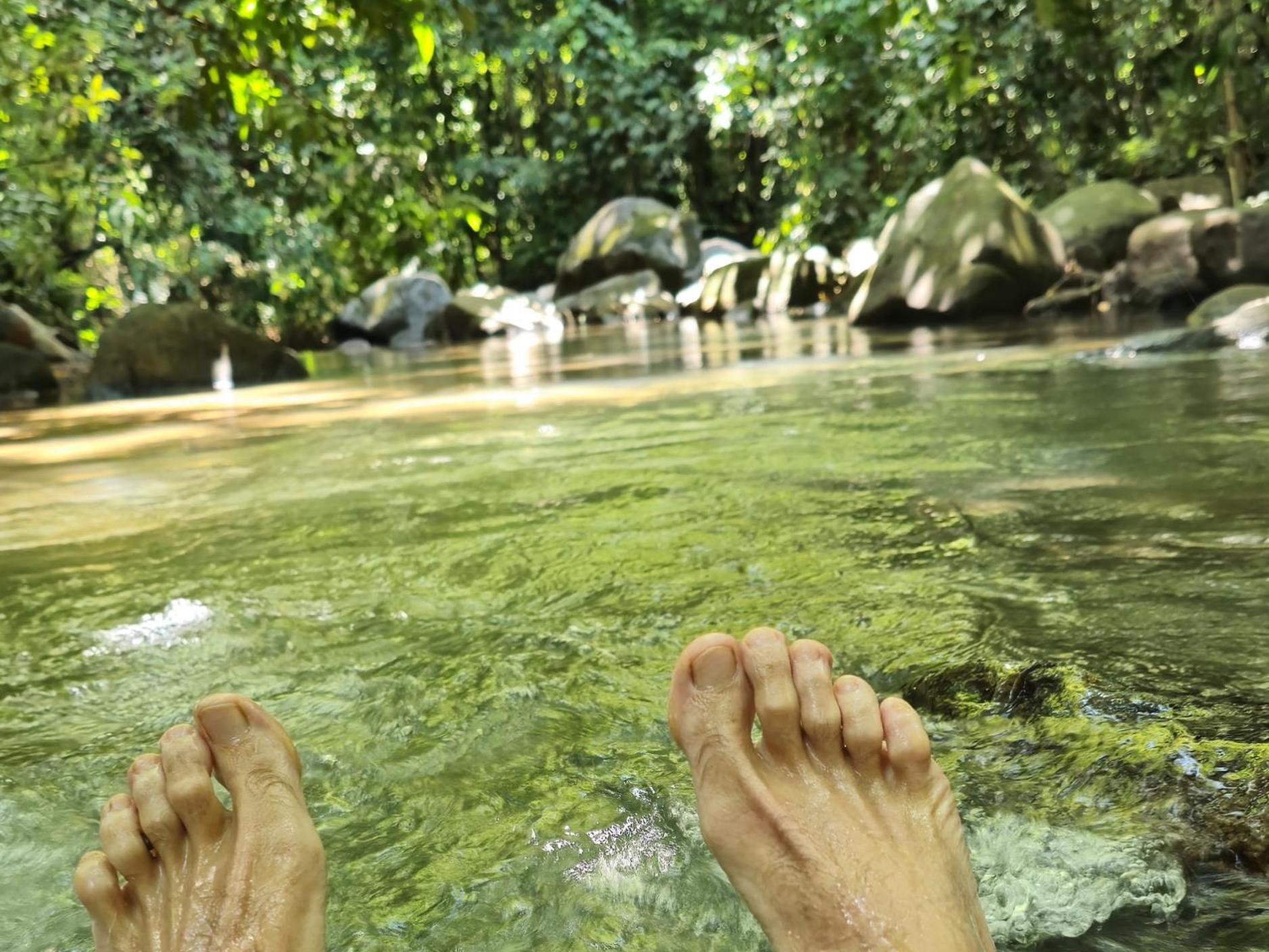 Cool Waters Jungle Villas Uvita Exteriör bild