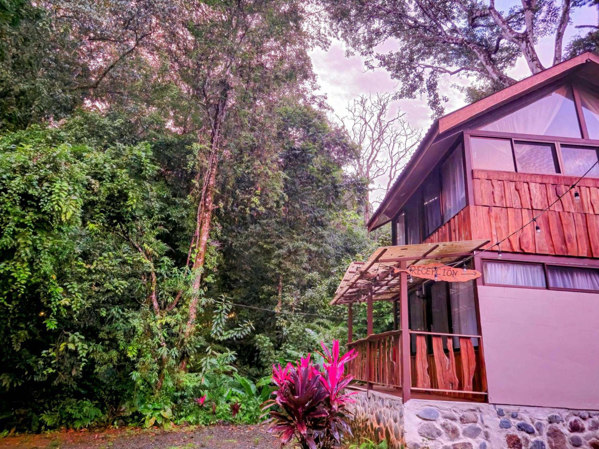 Cool Waters Jungle Villas Uvita Exteriör bild