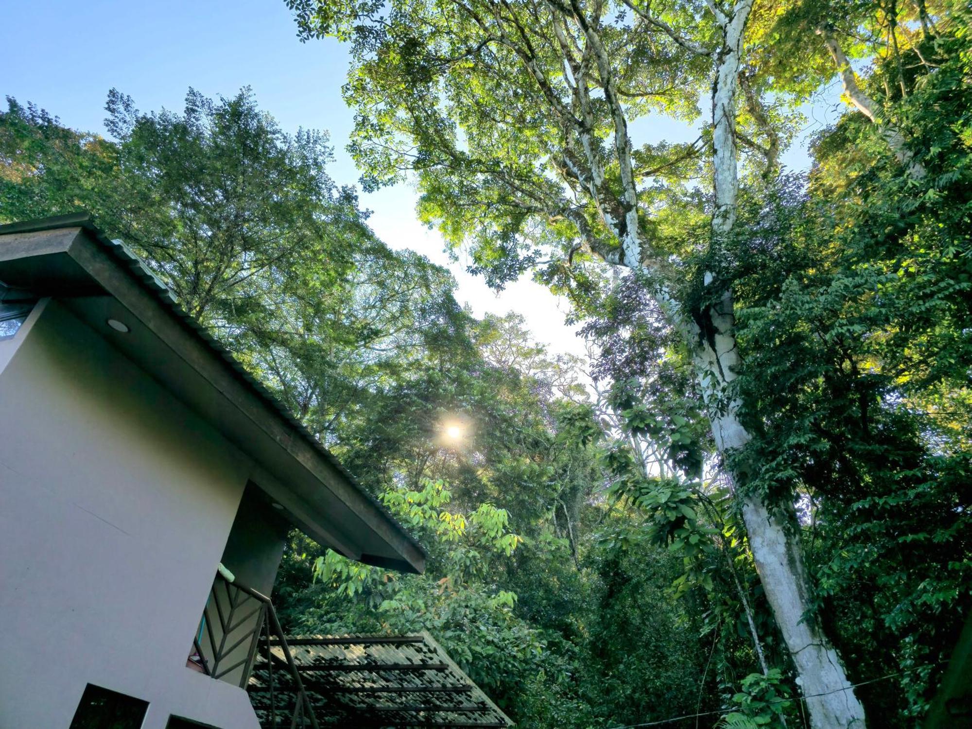 Cool Waters Jungle Villas Uvita Exteriör bild