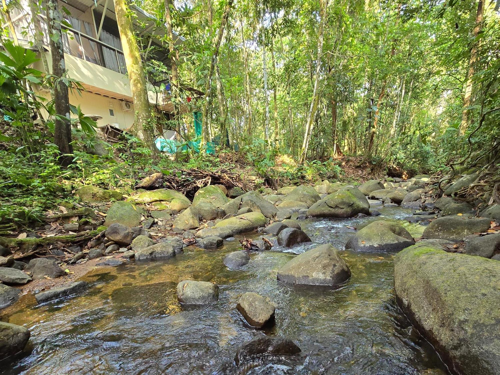 Cool Waters Jungle Villas Uvita Exteriör bild